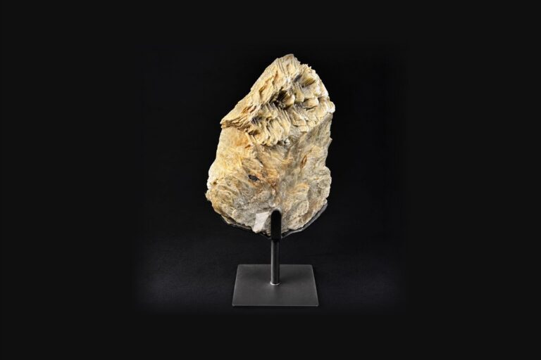 A bladed beige mineral specimen on a metal stand