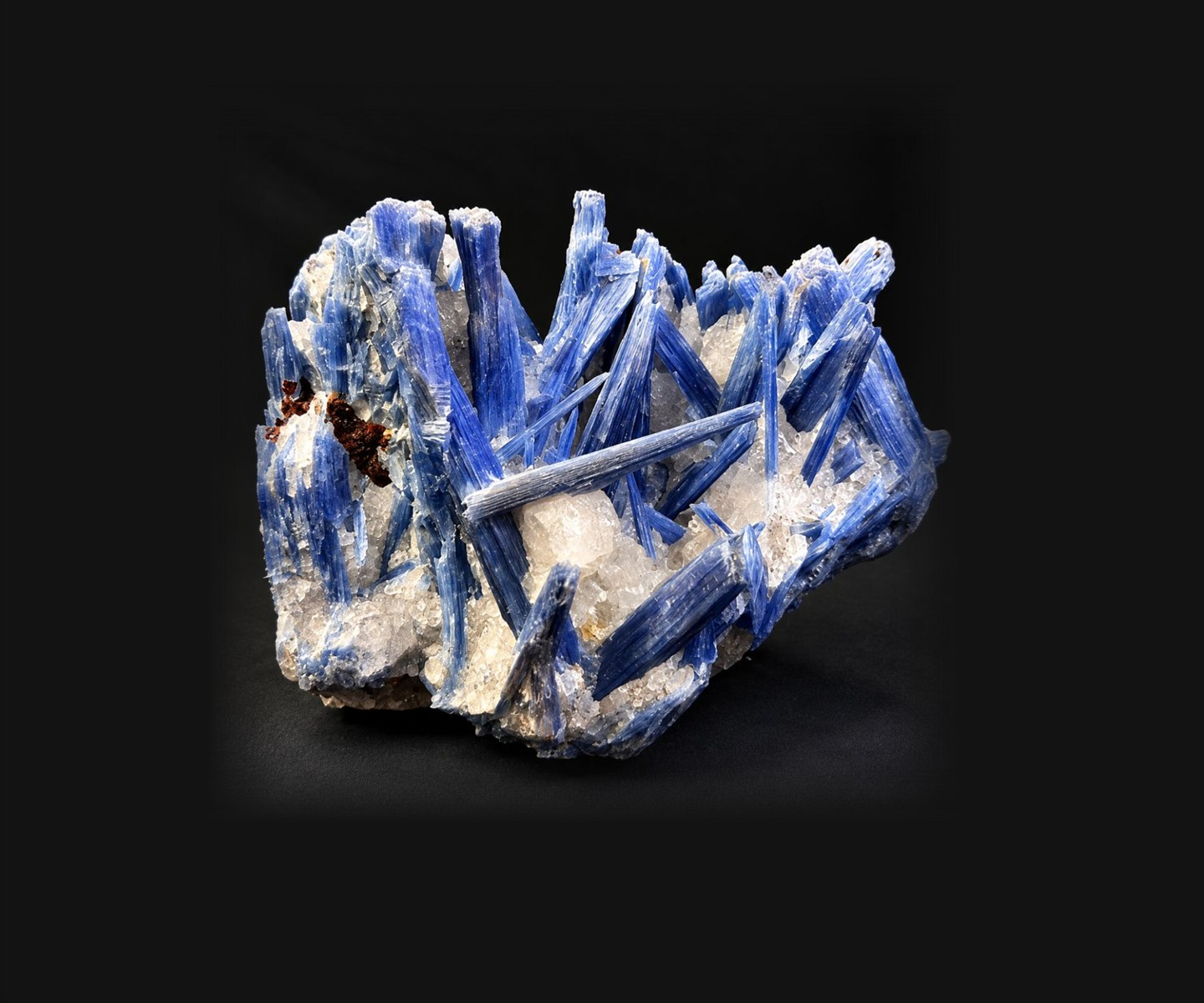 Blue kyanite blades on white quartz against a black background