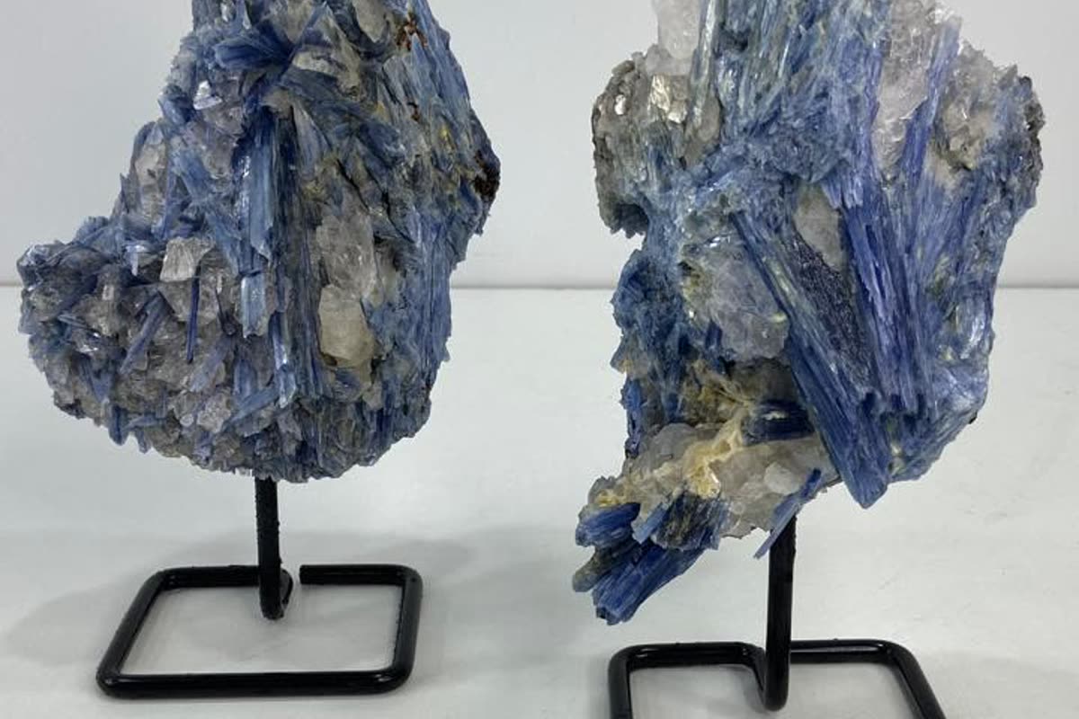Two blue kyanite specimens from Brazil on black stands, the kind of unique piece wholesale crystal suppliers should film on request