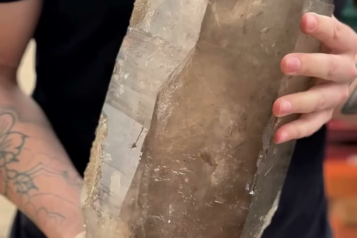 A polished Brazilian smoky quartz point standing upright, showing the brown-grey colour and internal clarity of the crystal
