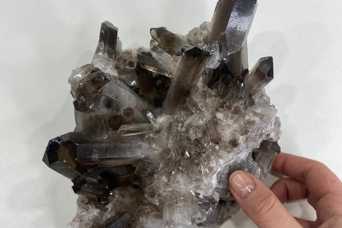 Hand holding a smoky quartz cluster with well formed terminated points, a mid-tier piece in a new crystal business